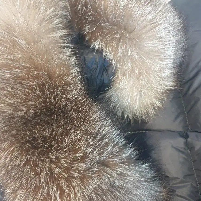 몽클레르 몽클레어 보에딕 1size 사진 6