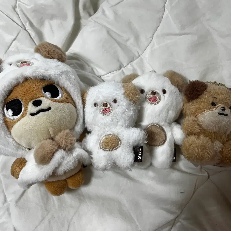 데이식스 데니멀즈 돈 윤도운 양도