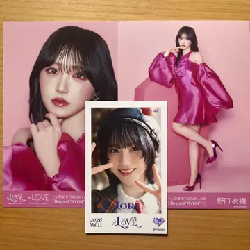 =LOVE 노구치 이오리 사진 당일 발송