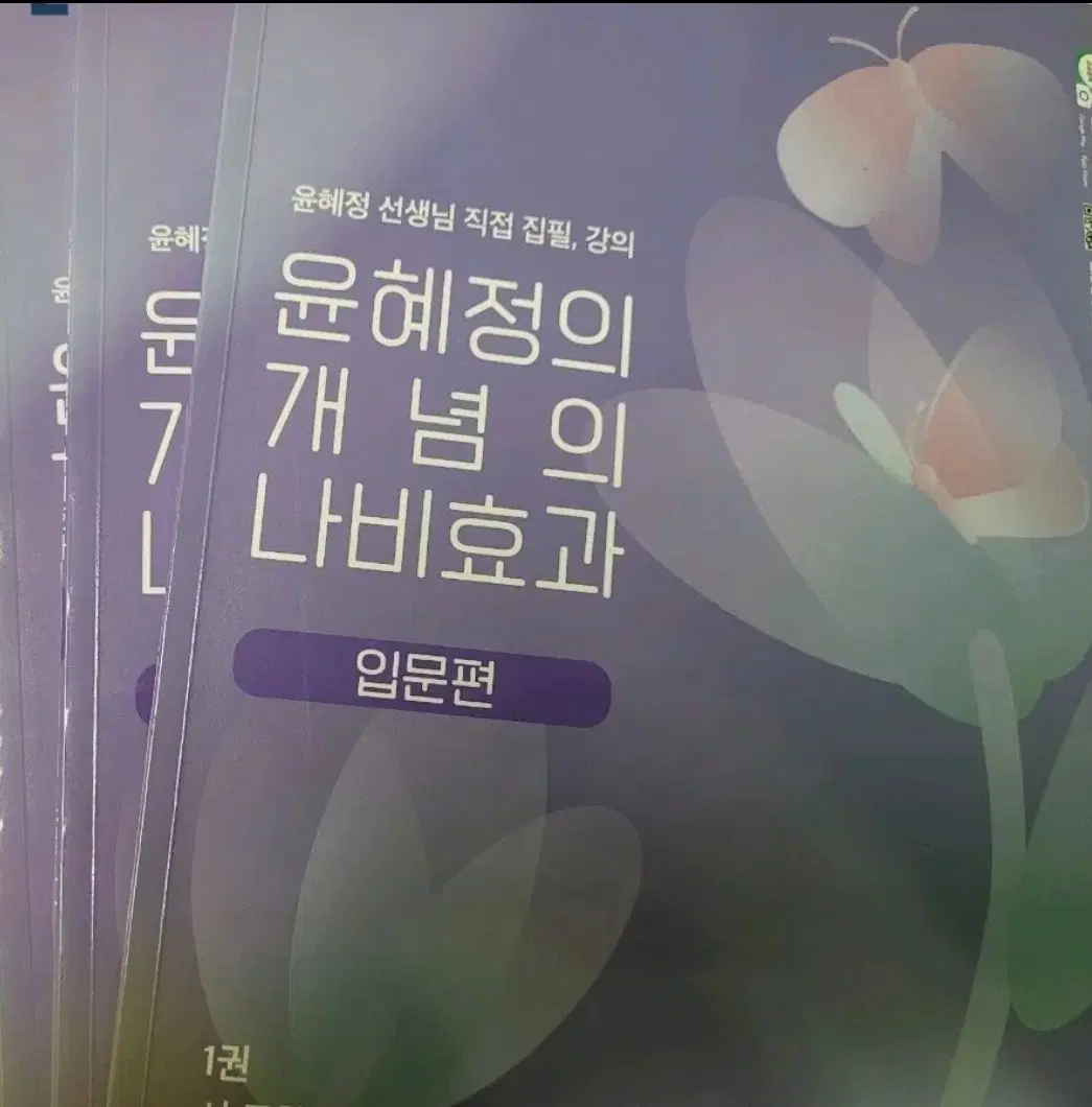 [급처] 윤혜정의 개념의 나비효과 입문편