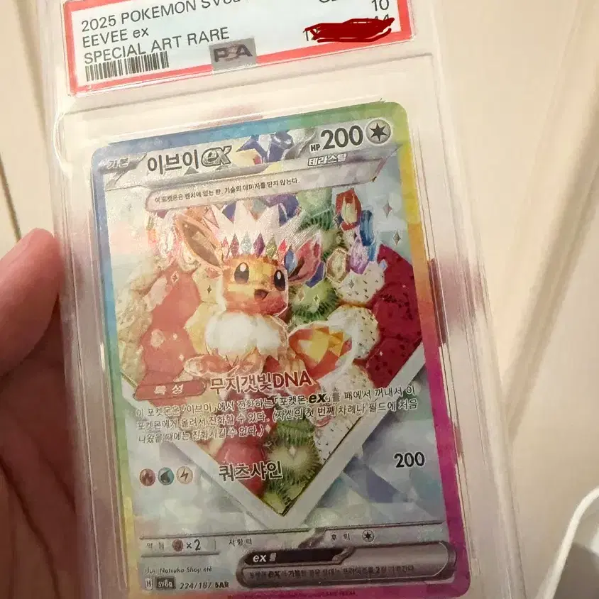 포켓몬카드 이브이 EX sar PSA 10 테라스탈