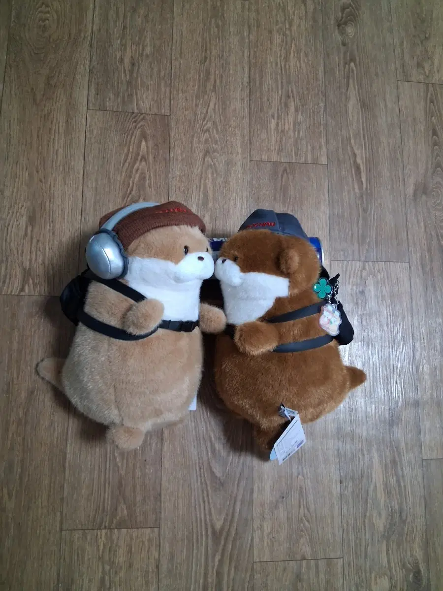 우소우소짱 대학로 봉제인형/개당가격 (무료배송)