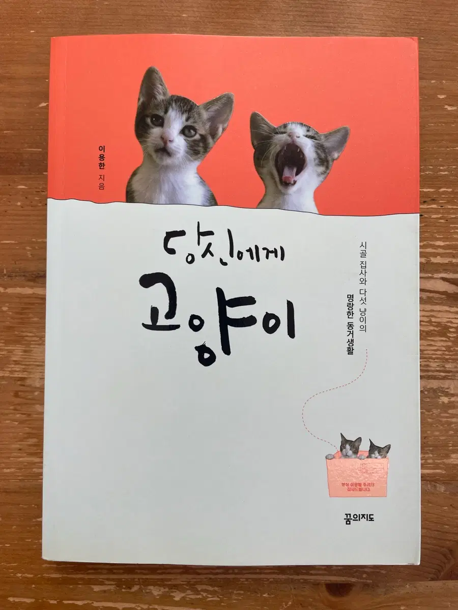 당신에게 고양이 - 이용한