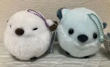 복복 시마연가 겨울색 절정 2세트