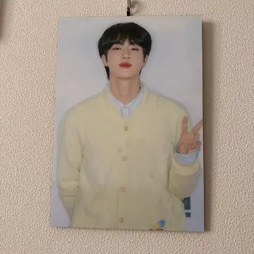 BTS 진 패널