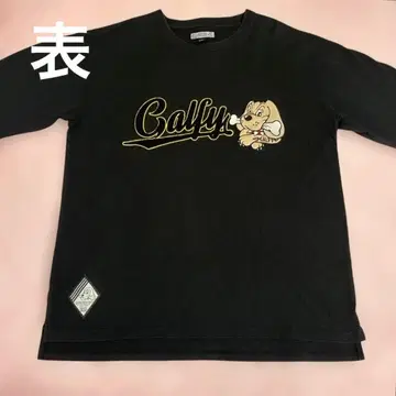 가르피 중형견