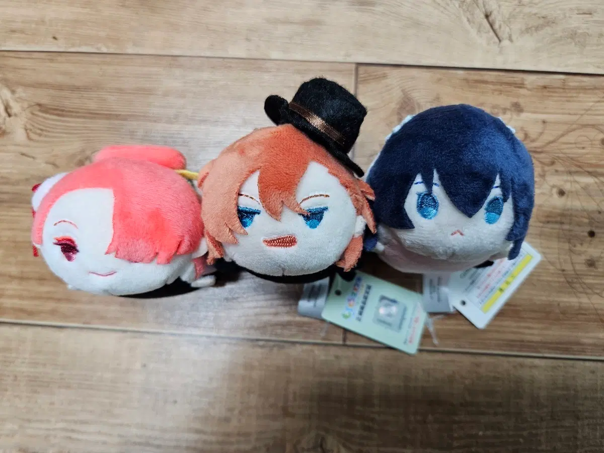 문스독 모찌 츄야, 쿄카, 코요, 긴 일괄 문호스트레이독스