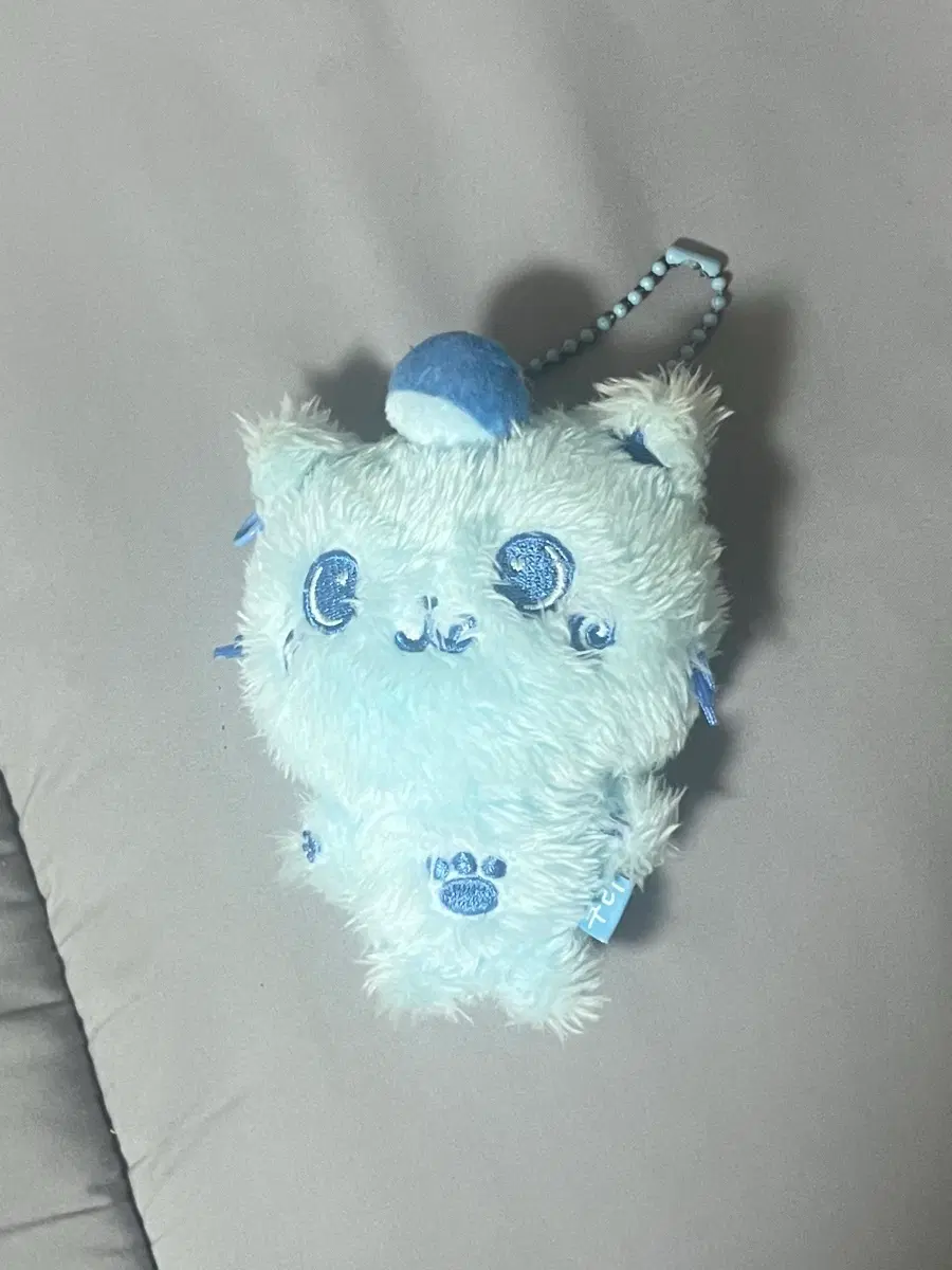 컬러위시돌