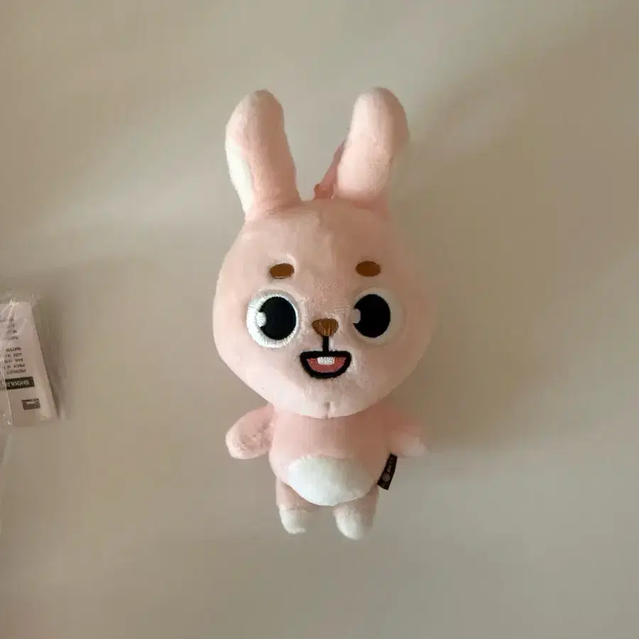 데이식스 인형 필끼 데니멀즈 데멀 필끼 2024