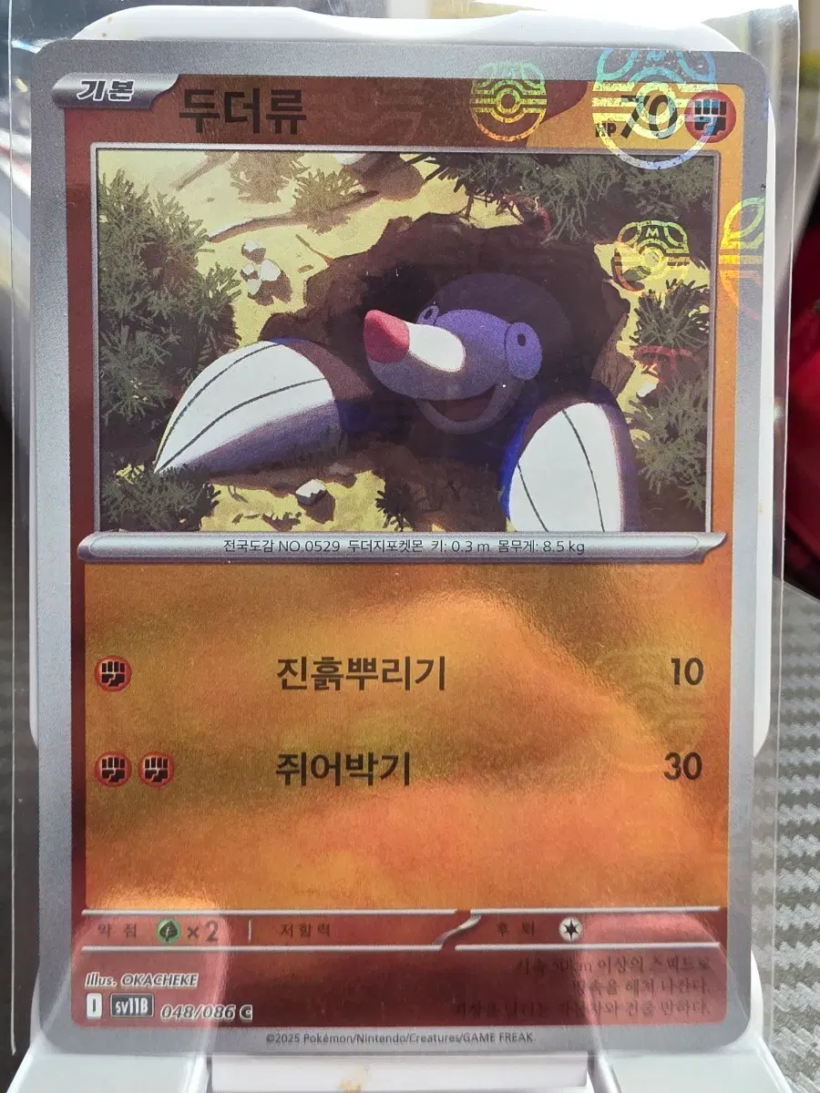 포켓몬 카드 두더류 마스터볼