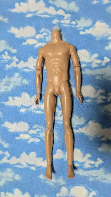 KEN 가동 바디 바비 인형