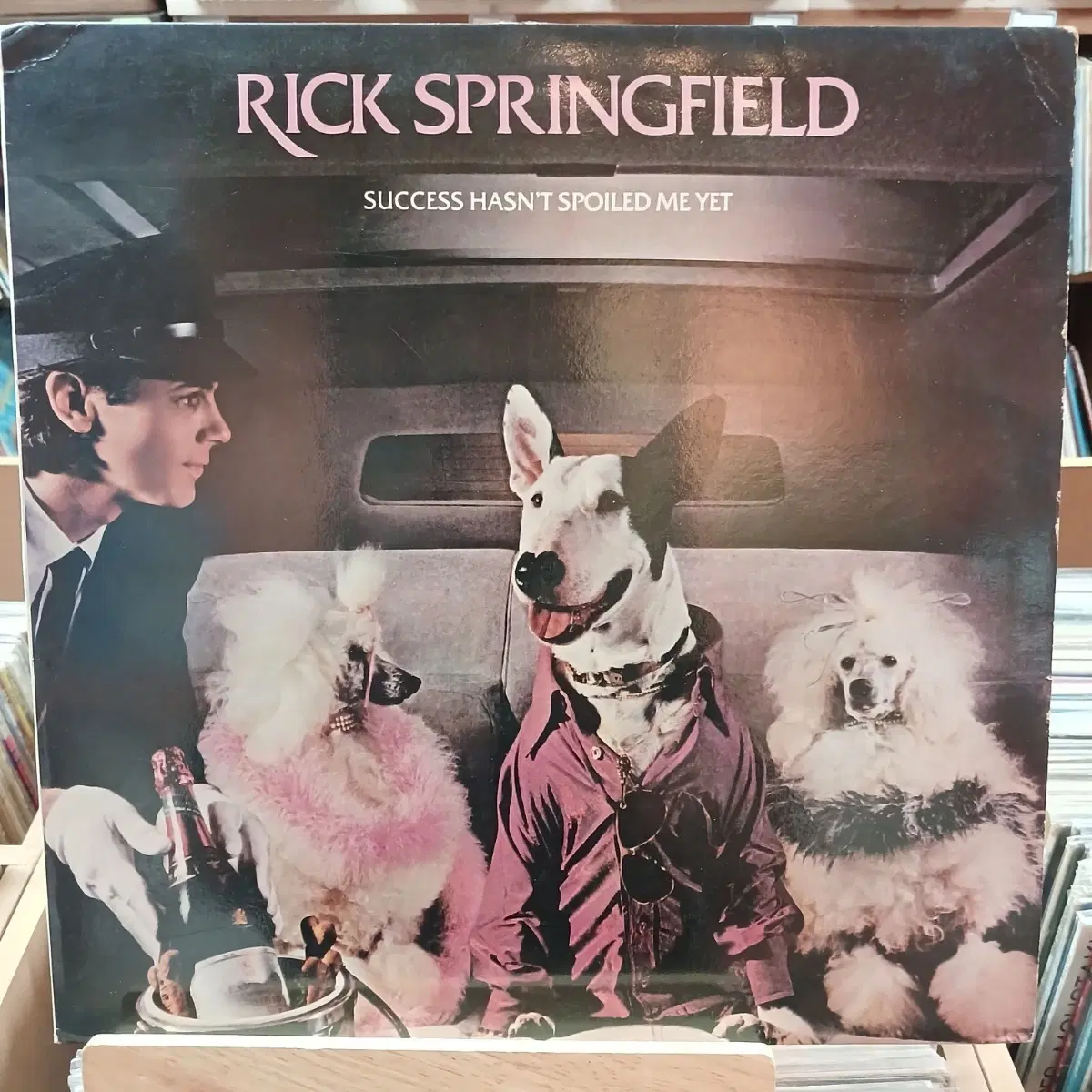 릭 스프링필드 앨범 "Success Hasn't Spoiled Me Yet" LP