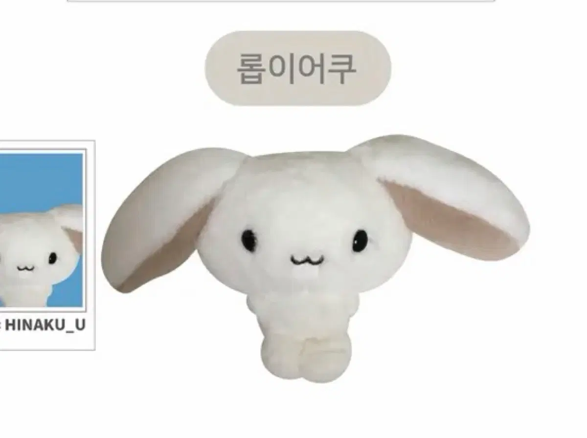 히나쿠우 롭이어쿠 원가 양도