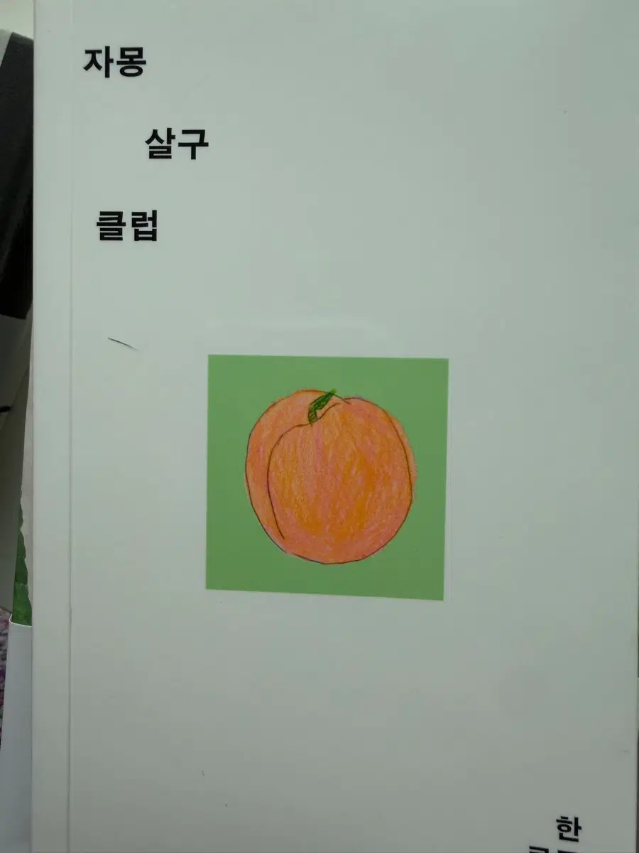 한로로 자몽살구클럽