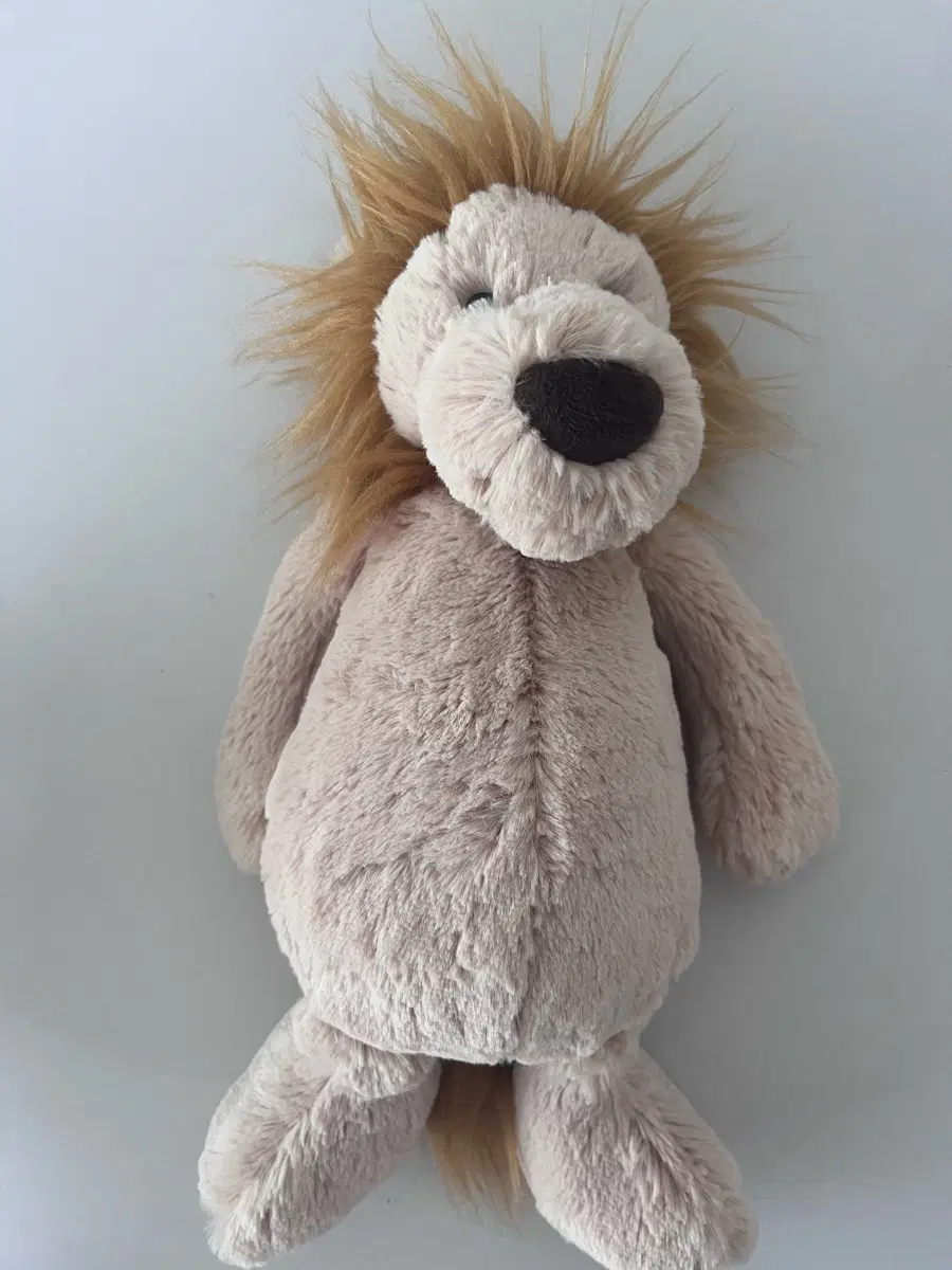 jellycat 젤리캣사자