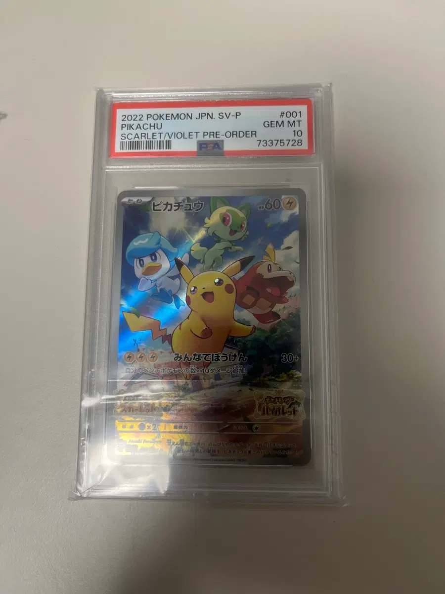급처)스칼렛 바이올렛 피카츄 psa10