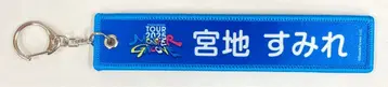 히나타자카46 ARENA TOUR 2025 [ MONSTER GROOVE ] 캡슐 토이 미야치 스미레 네임택 키링 파랑