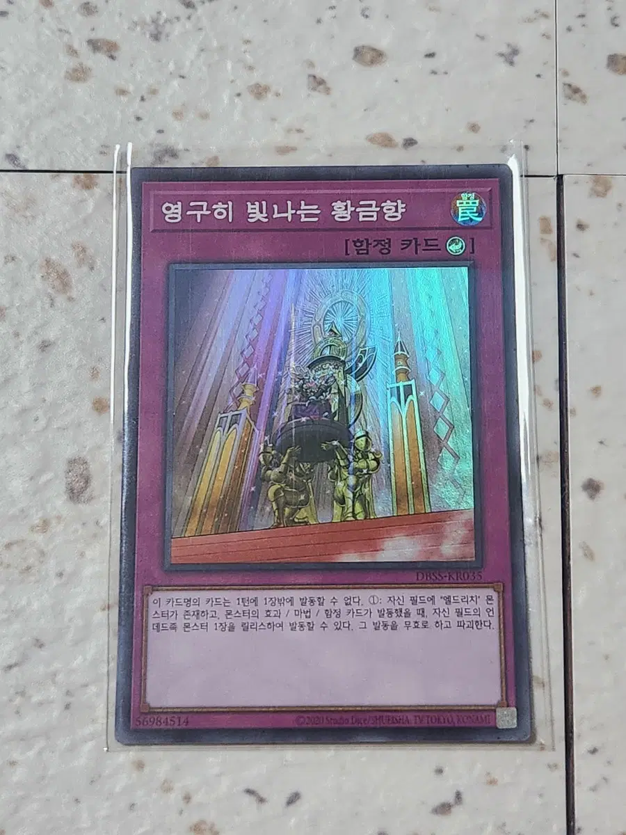 영구히 빛나는 황금향 슈레 DBSS-KR035