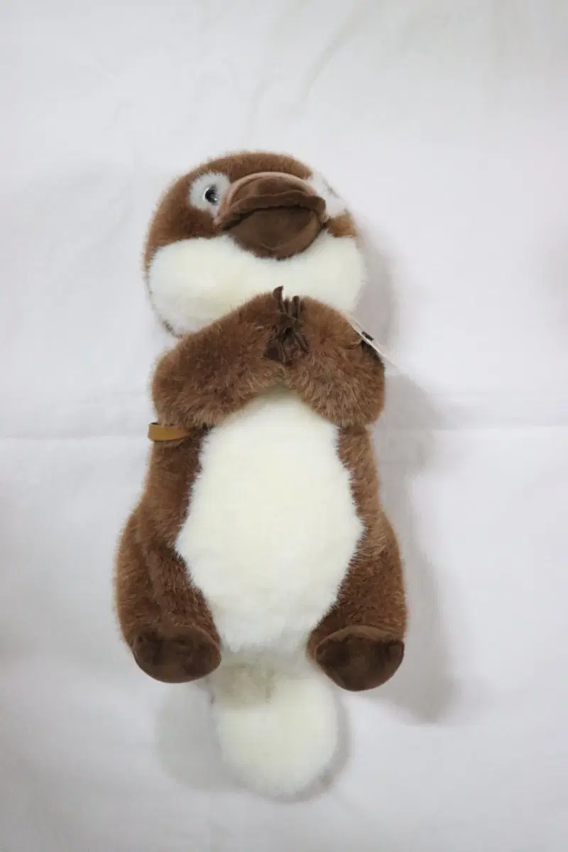 (새상품)오리너구리인형