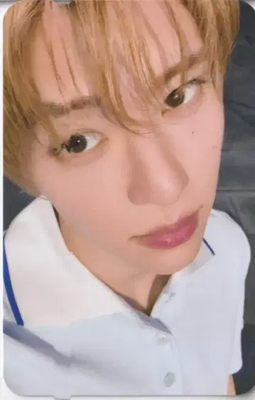 NCT WISH mu-mo SHOP SION YO-I-DON!/BOY MEETS GIRL 후기