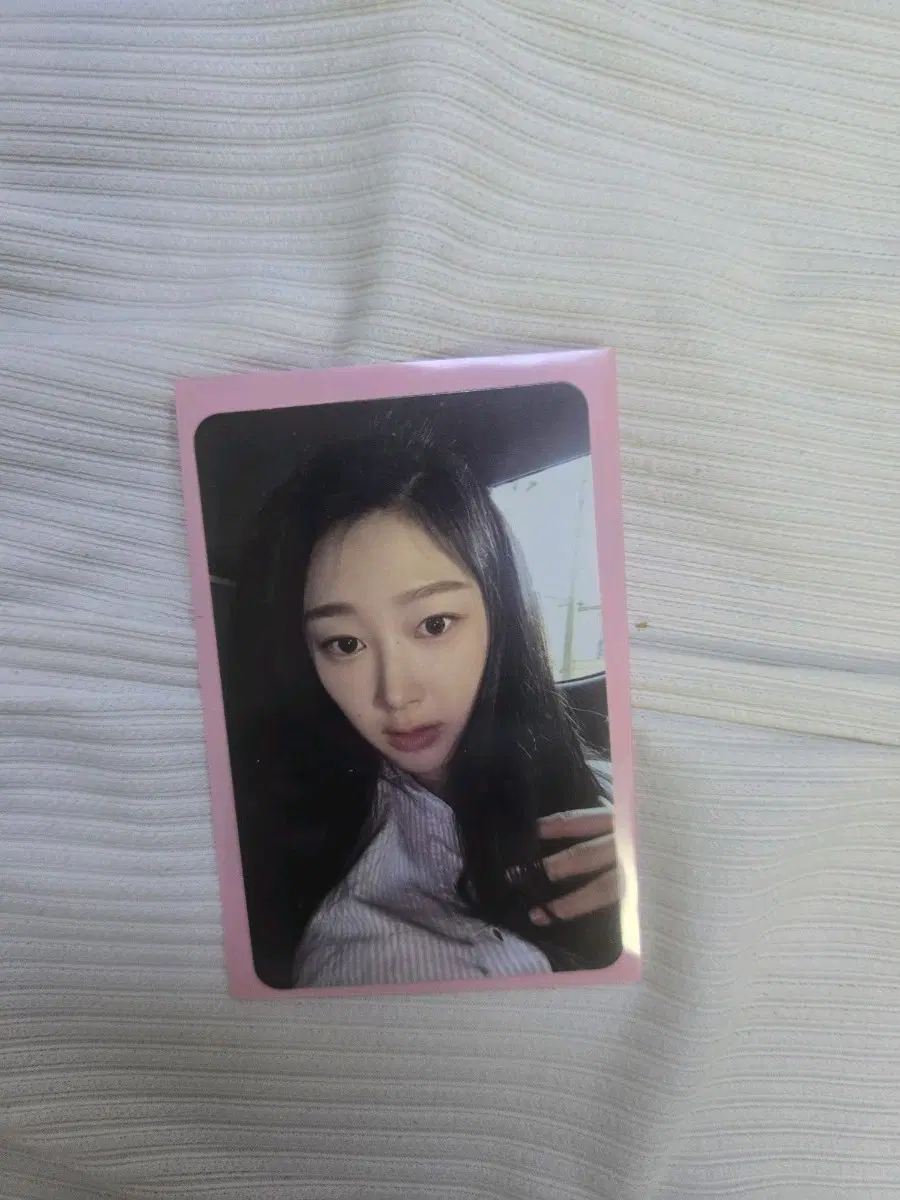 지젤 포카 판매