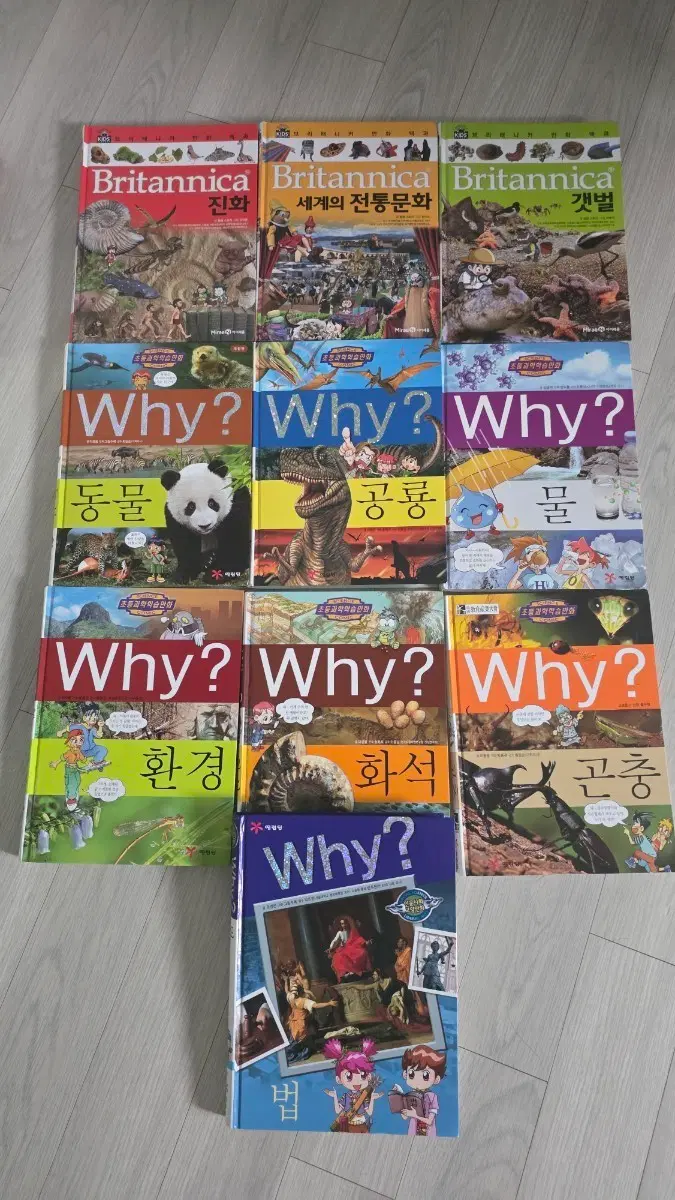 브리태니커 와이 만화