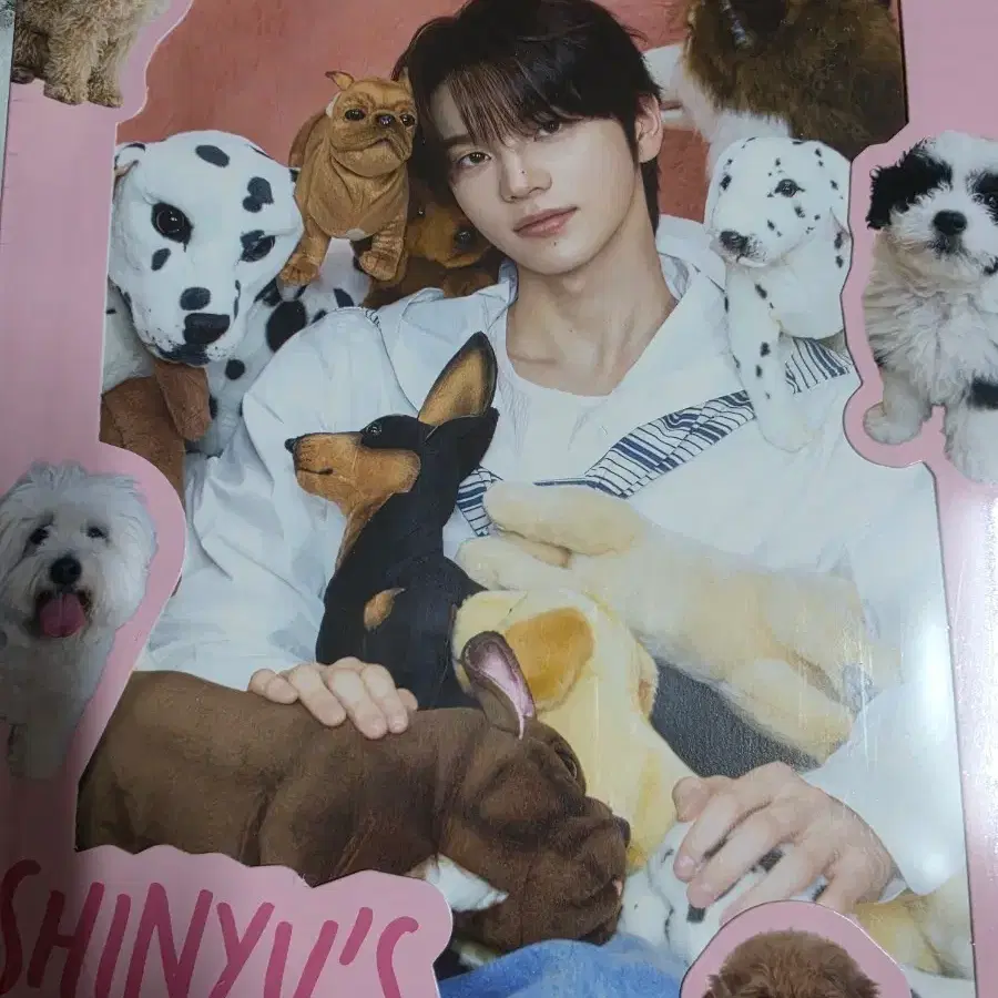신유 생일 박스 SHINYU'S FAVORITE BOX