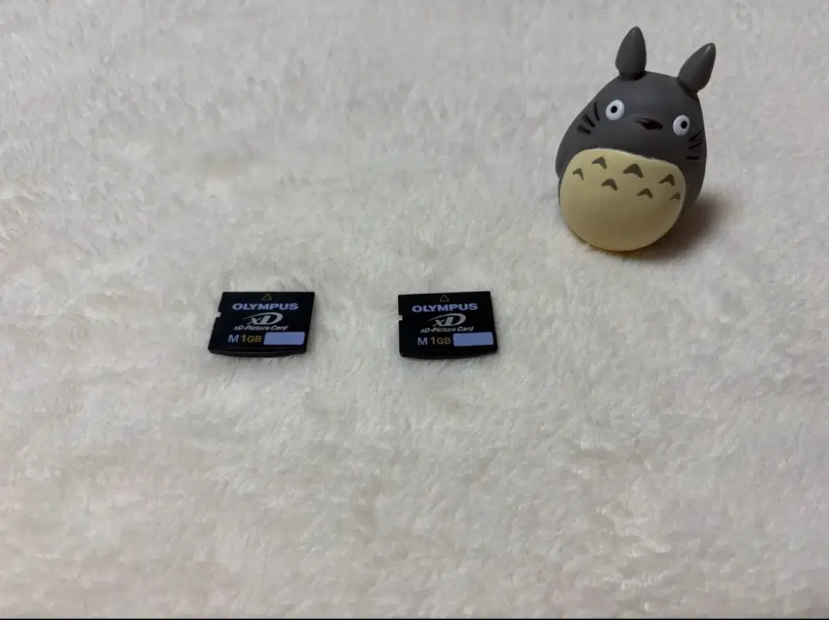 올림푸스 xD 픽쳐 카드 1GB
