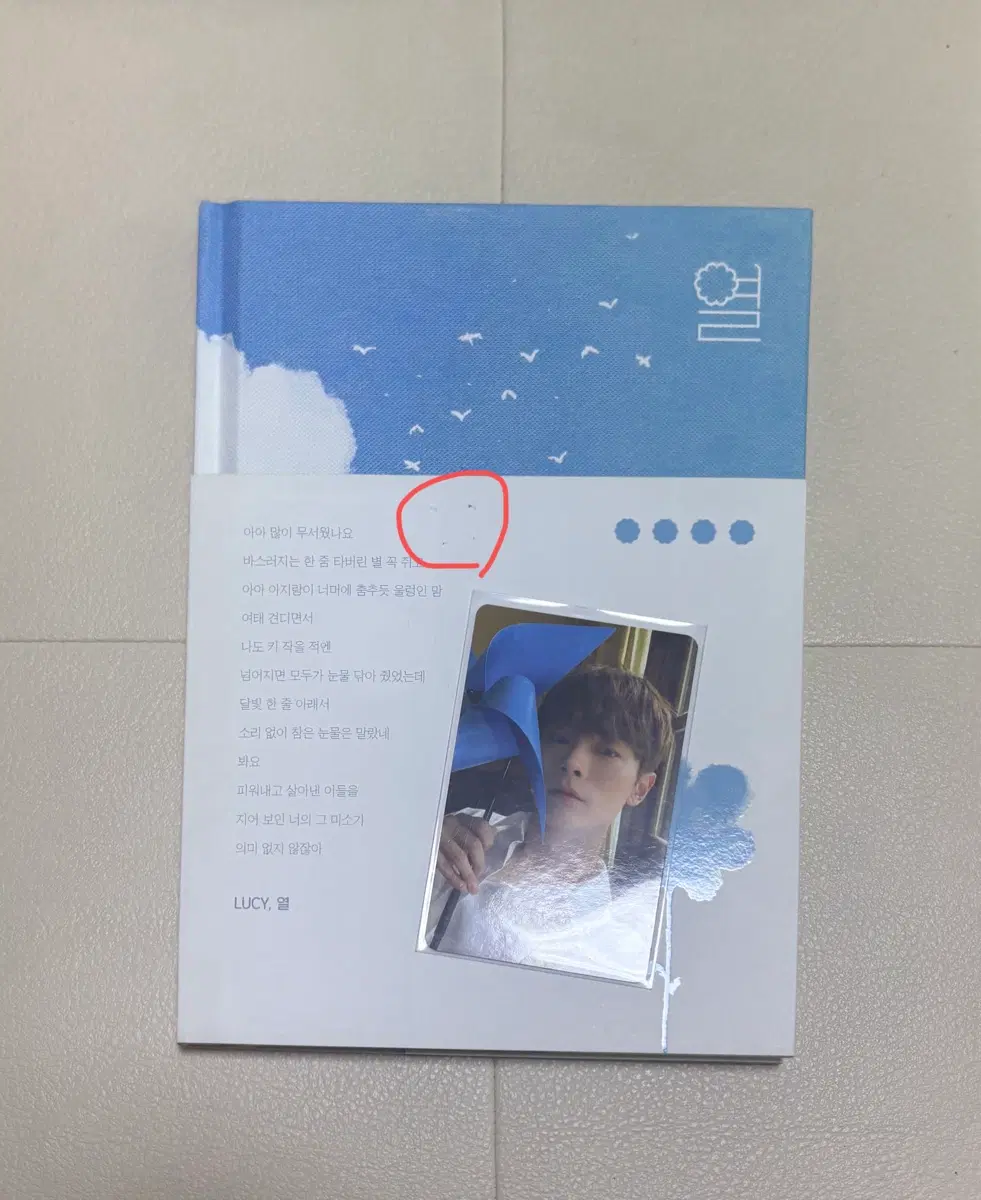루시 열 앨범 포카 판매
