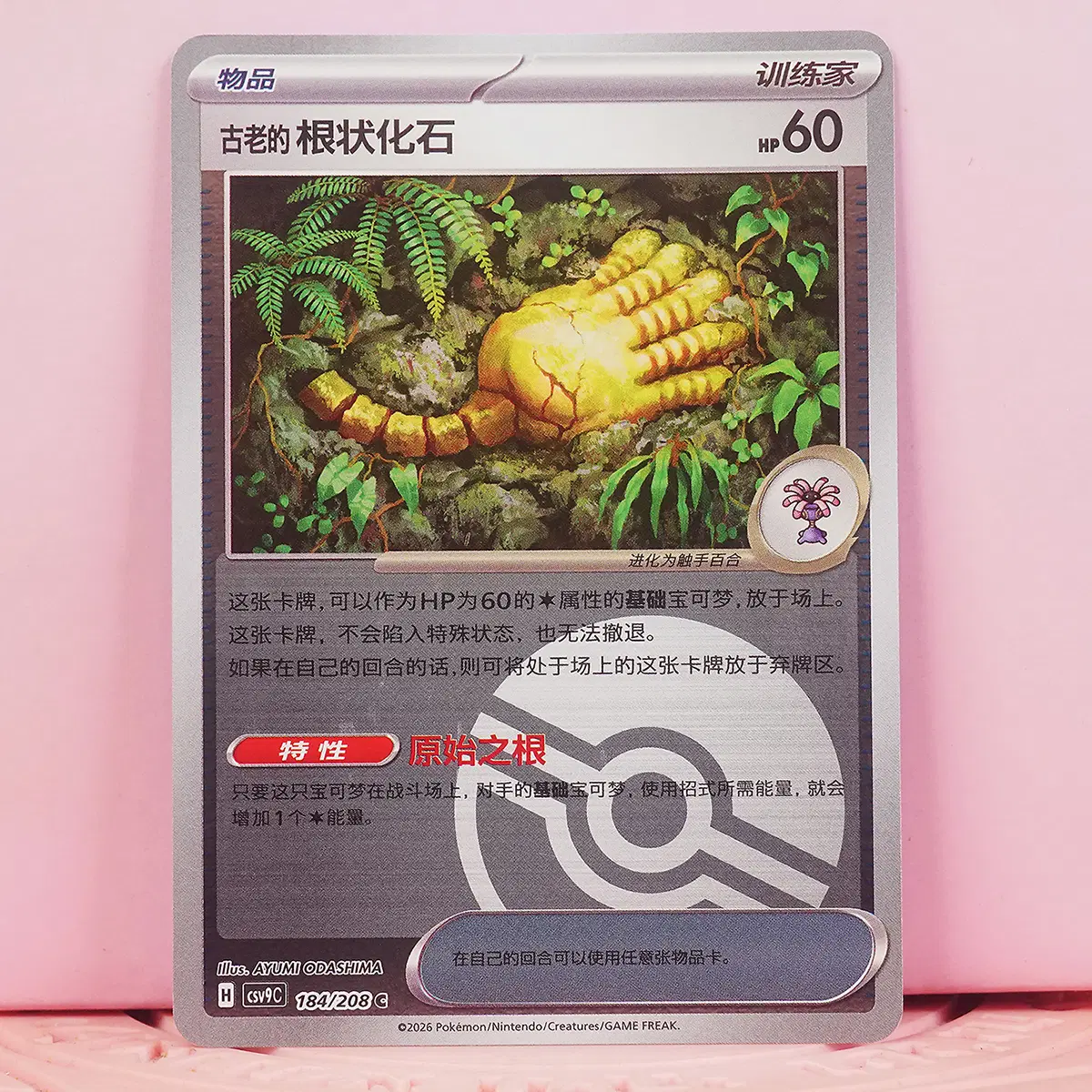 중판 포켓몬 카드 오래된 뿌리화석 몬스터볼 csv9c 184 208 C