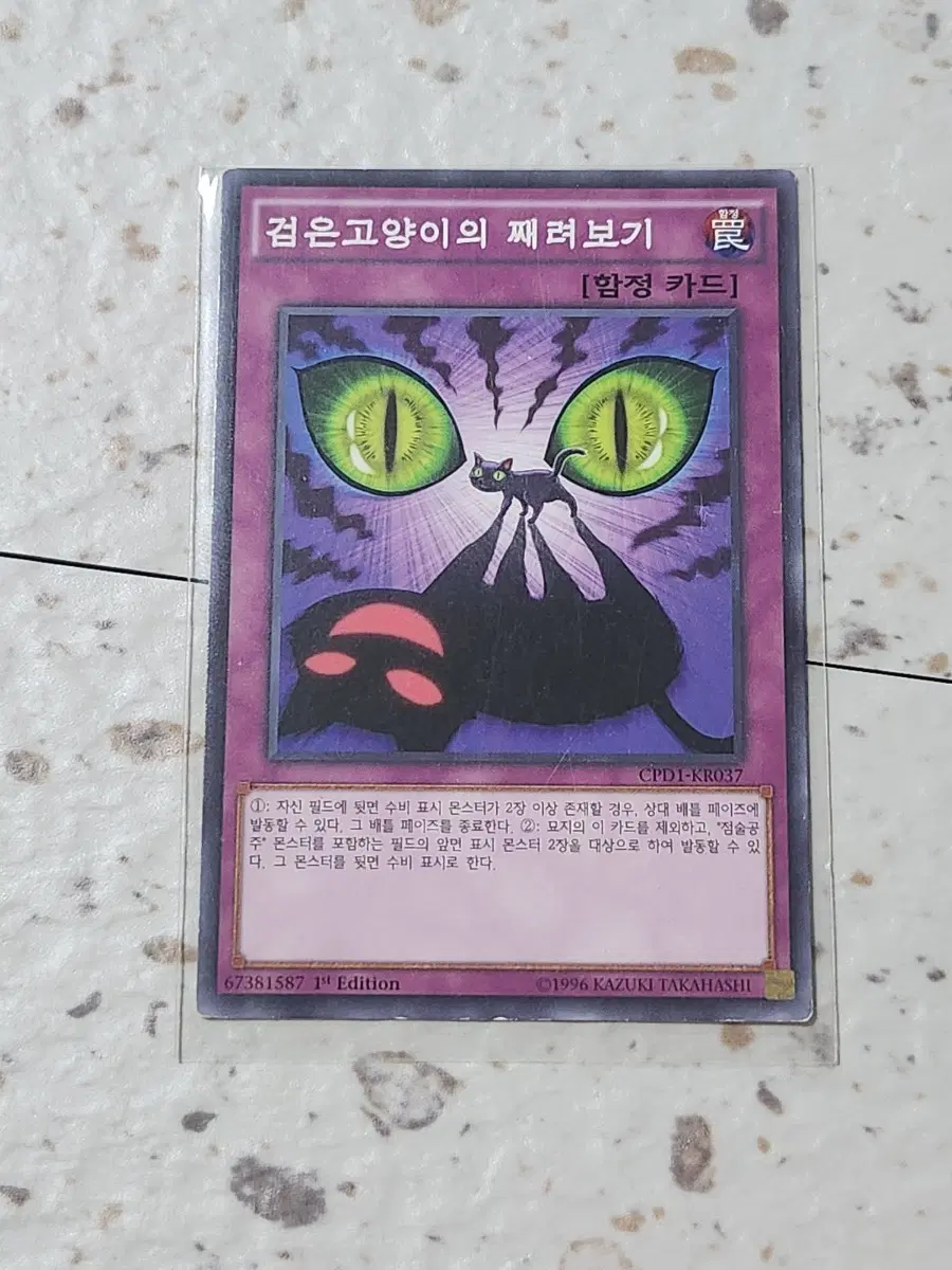 검은고양이의 째려보기 퍼에 노말 CDP1-KR037