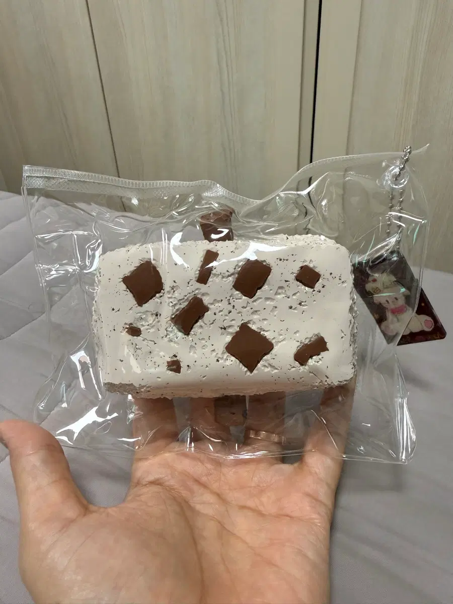 주안미 못난이(초코)