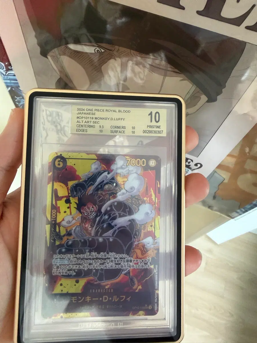 Bgs10 루피