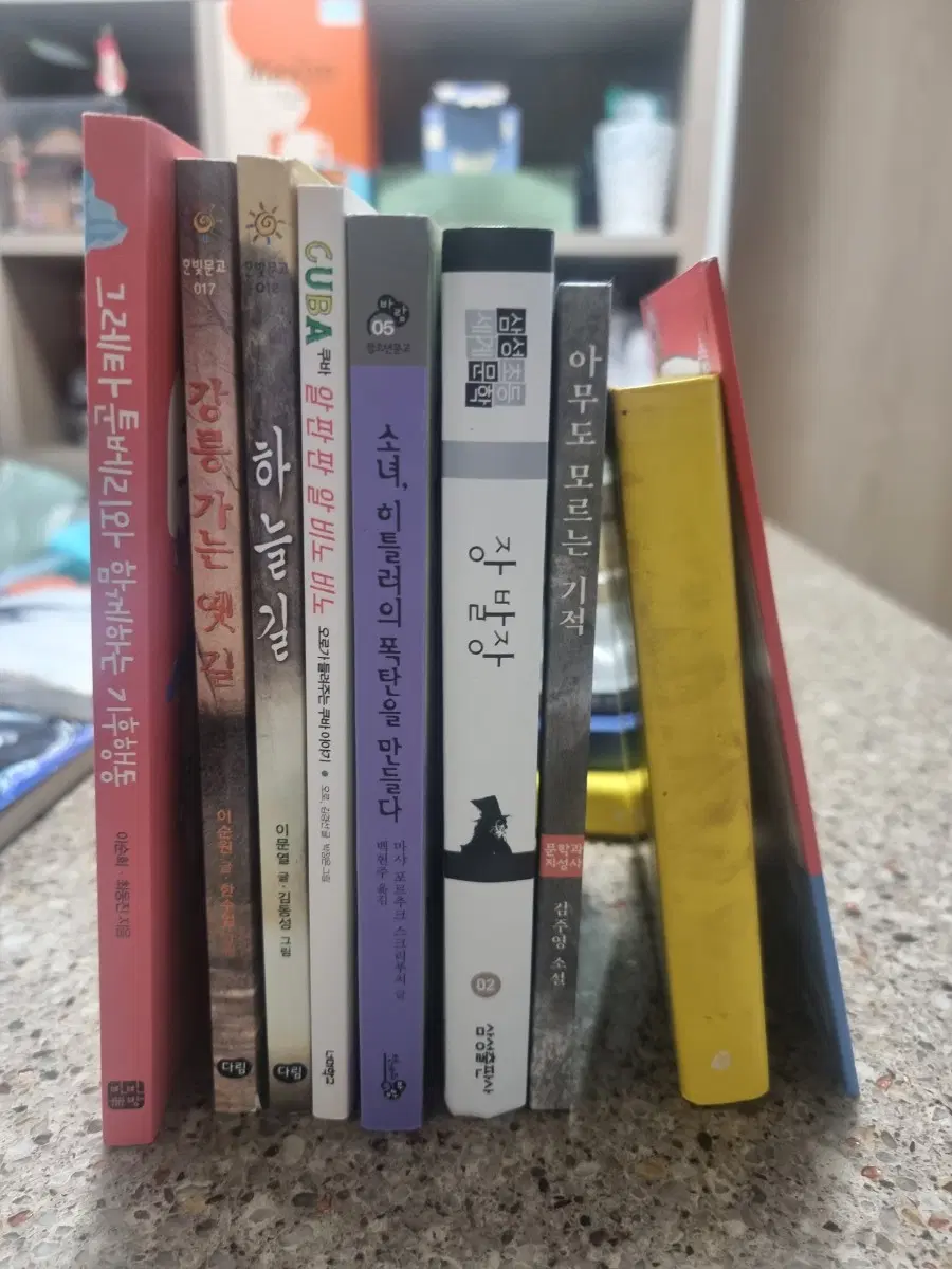 중학생 논술책2