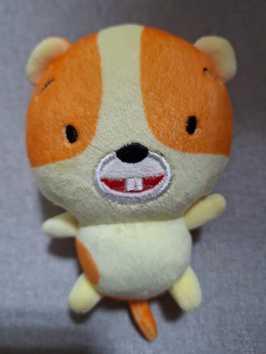 5 오렌지색 코알라인형