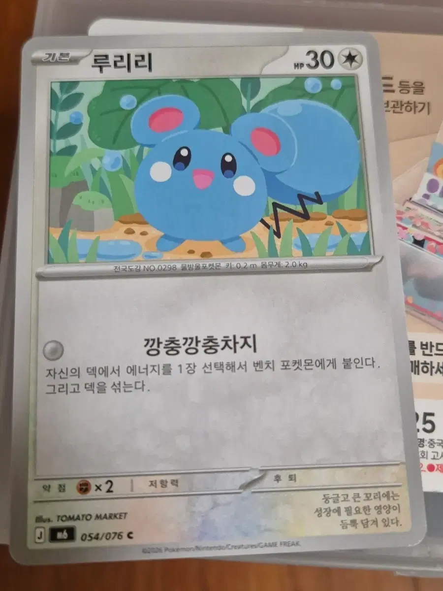 루리리 포켓몬 카드 앨범용