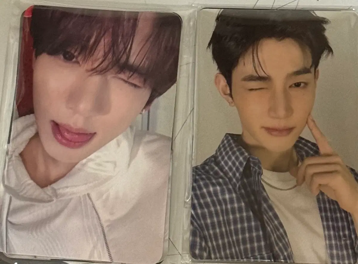 앤더블 고베, 마카오 쇼콘 포카