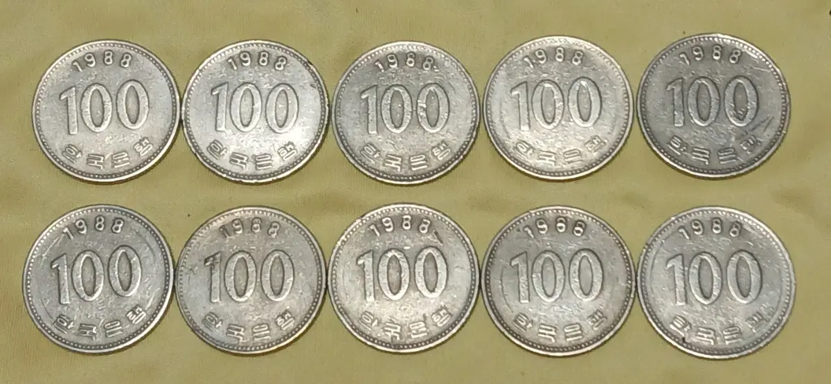 1988년 100원 동전 10개 일괄