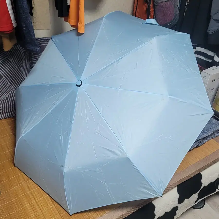 파스텔 하늘색 자동 양산