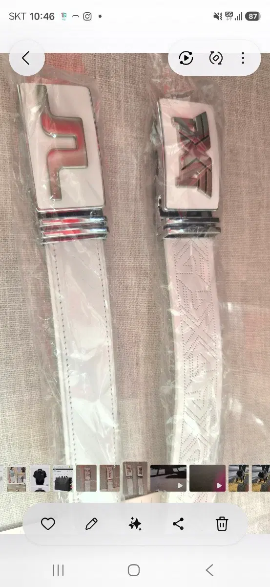 PXG 벨트