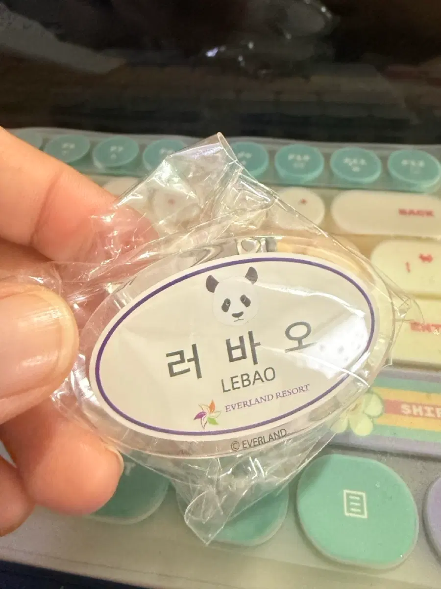 러바오 명찰