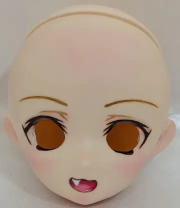 파라박스 40/45cm 바디 대응 헤드 개안희 손그림 채색 헤드