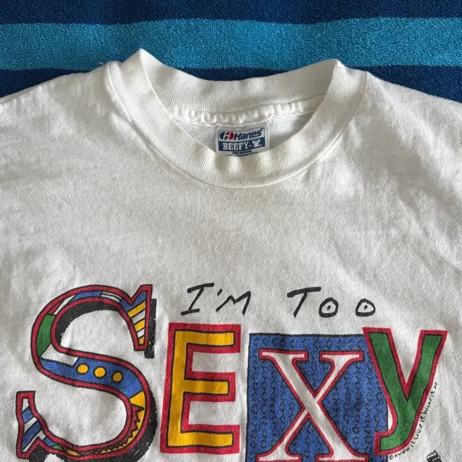 90s Hanes 헤인즈 싱글 스티치 빈티지 티셔츠 L (103)