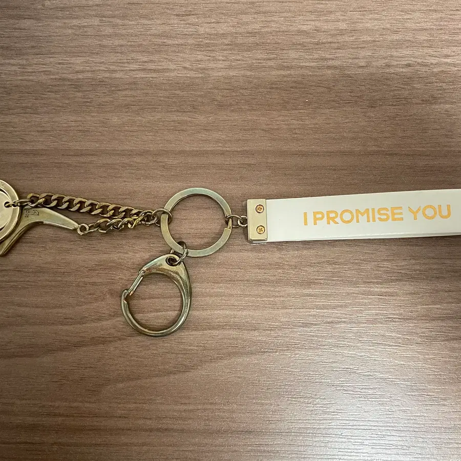 워너원 i promise you 키링