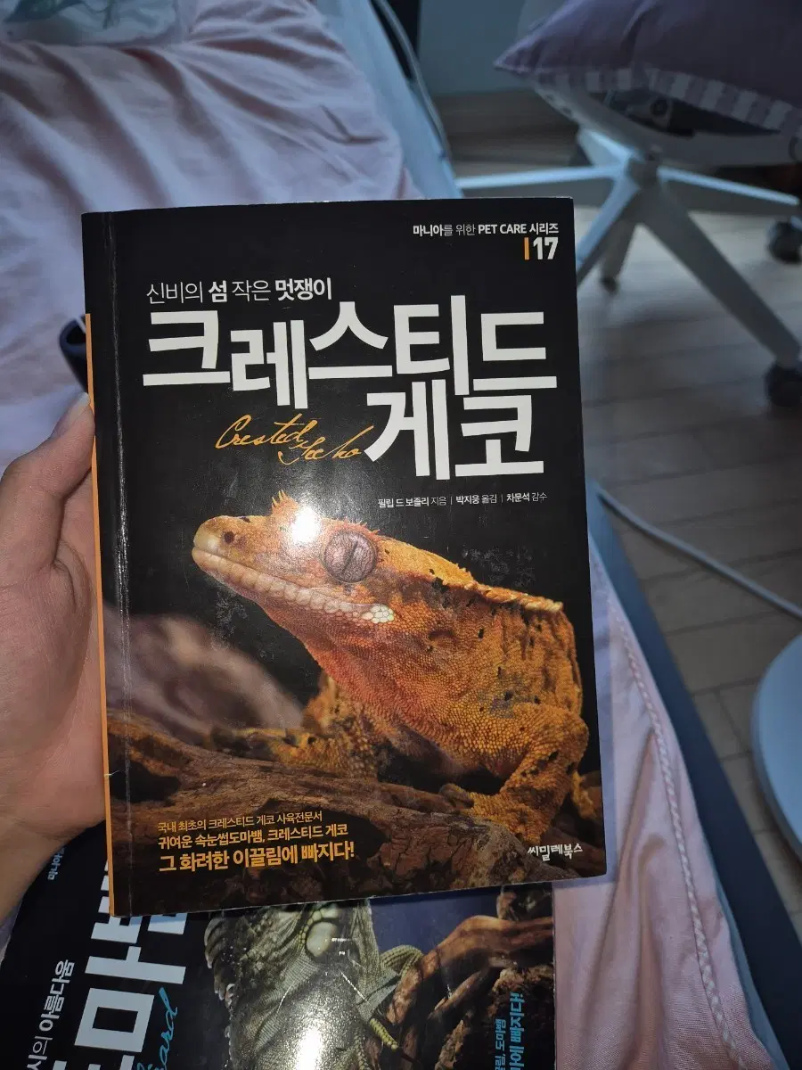(판완)신비의 섬 작은 멋쟁이 크레스티드 게코