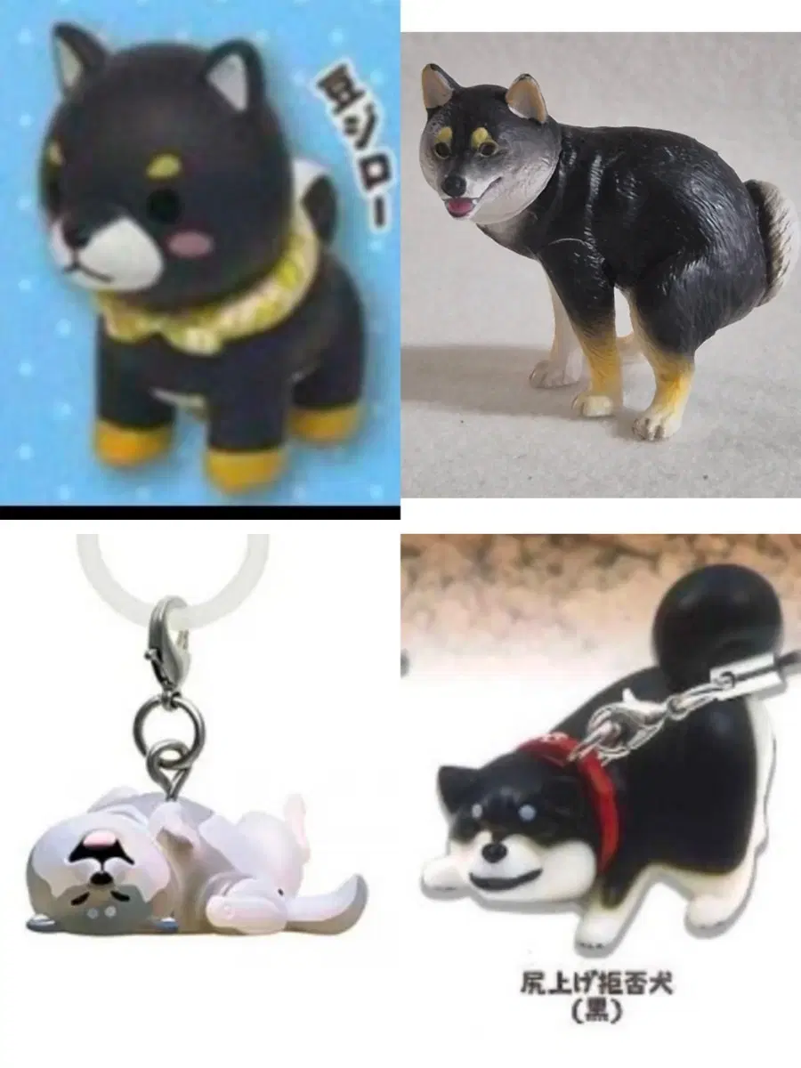 시바견가챠 까만시바견 흑시바 블랙탄 쿠로시바견 일괄판매