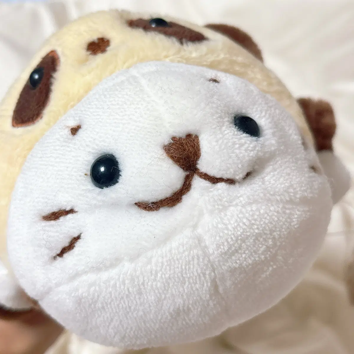 너구리 시로탄 인형