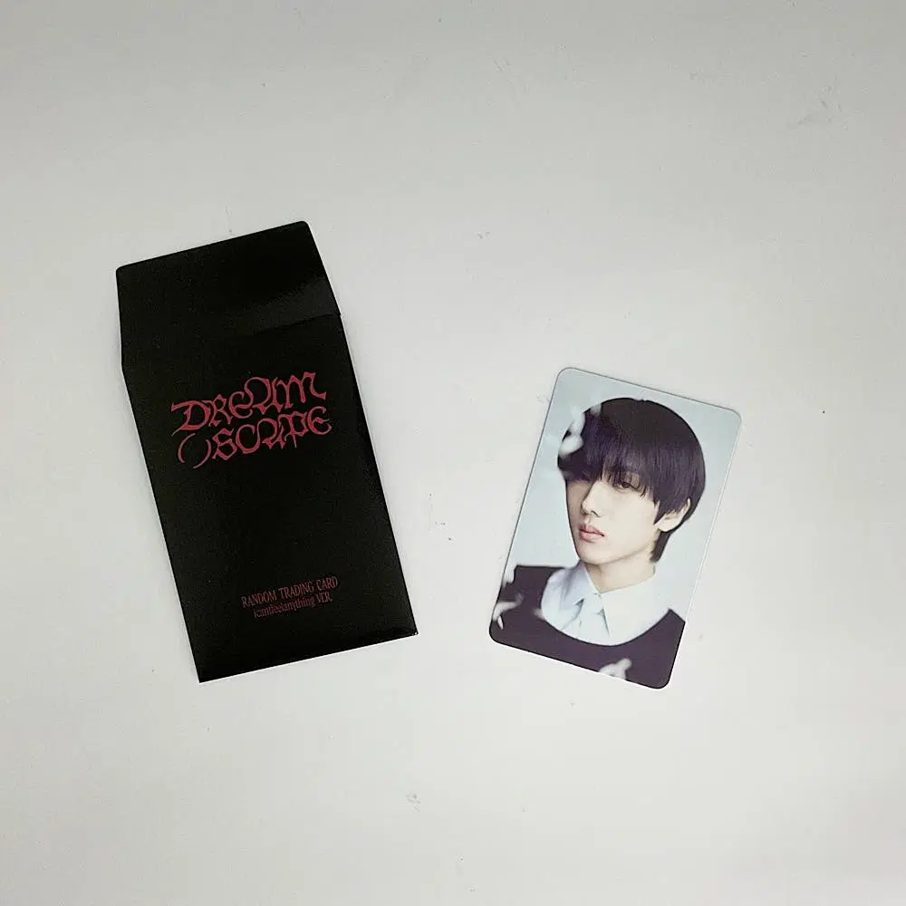 엔시티 드림 지성 드림 스케이프 트레이딩카드 포토카드 C버전 2 NCT DREAM JISUNG DREAM( )SCAPE TRADINGCARD PHOTOCARD C_2