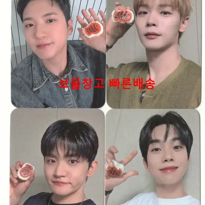 루시 디마뮤 특전4종 세트