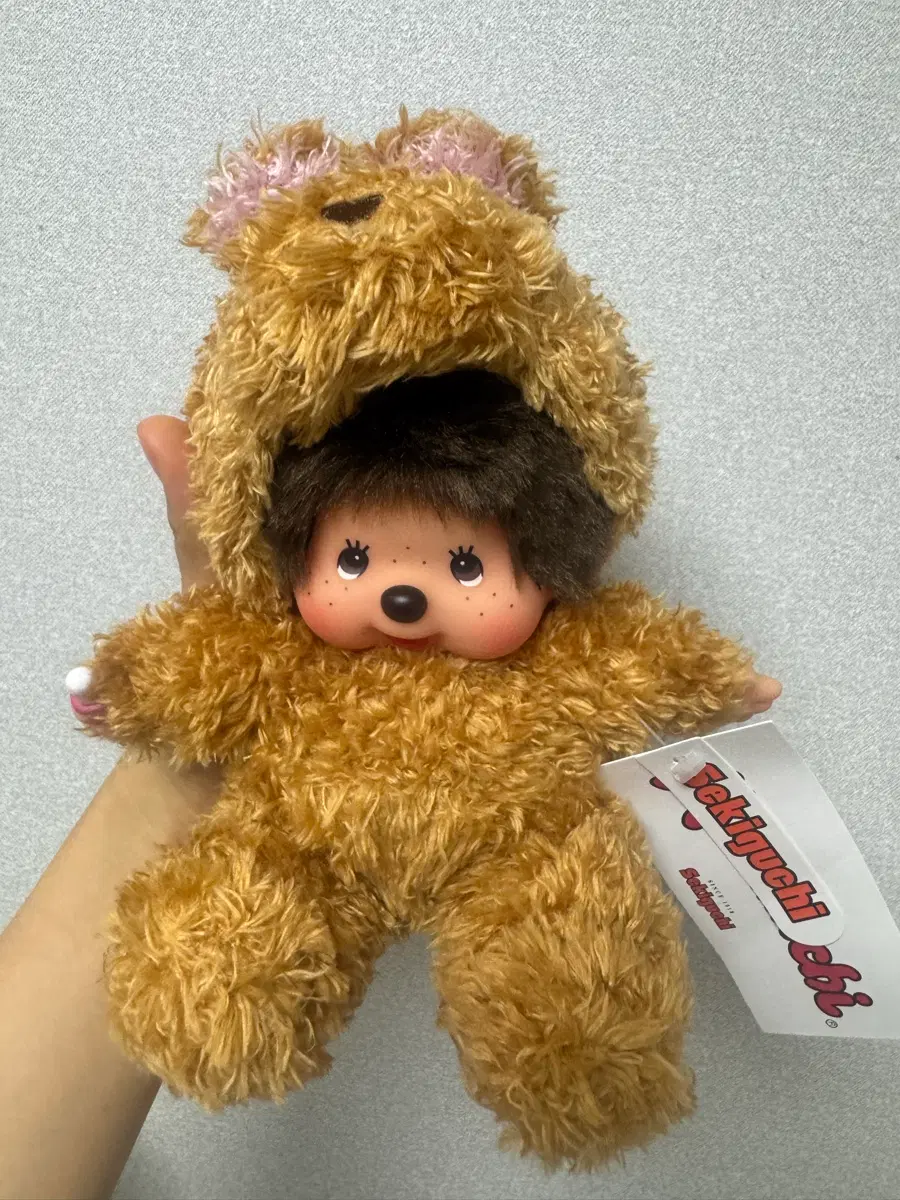 호주 캥거루 몬치치